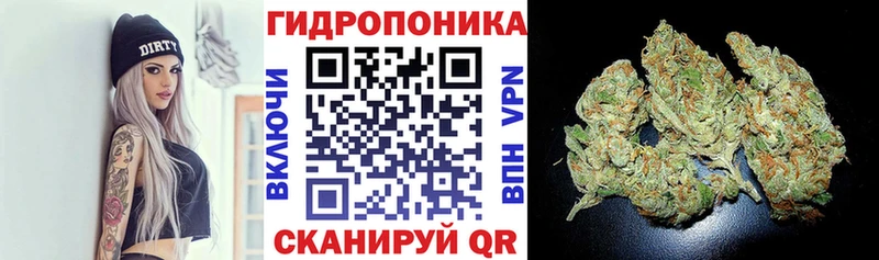 Канабис планчик  Волжский 